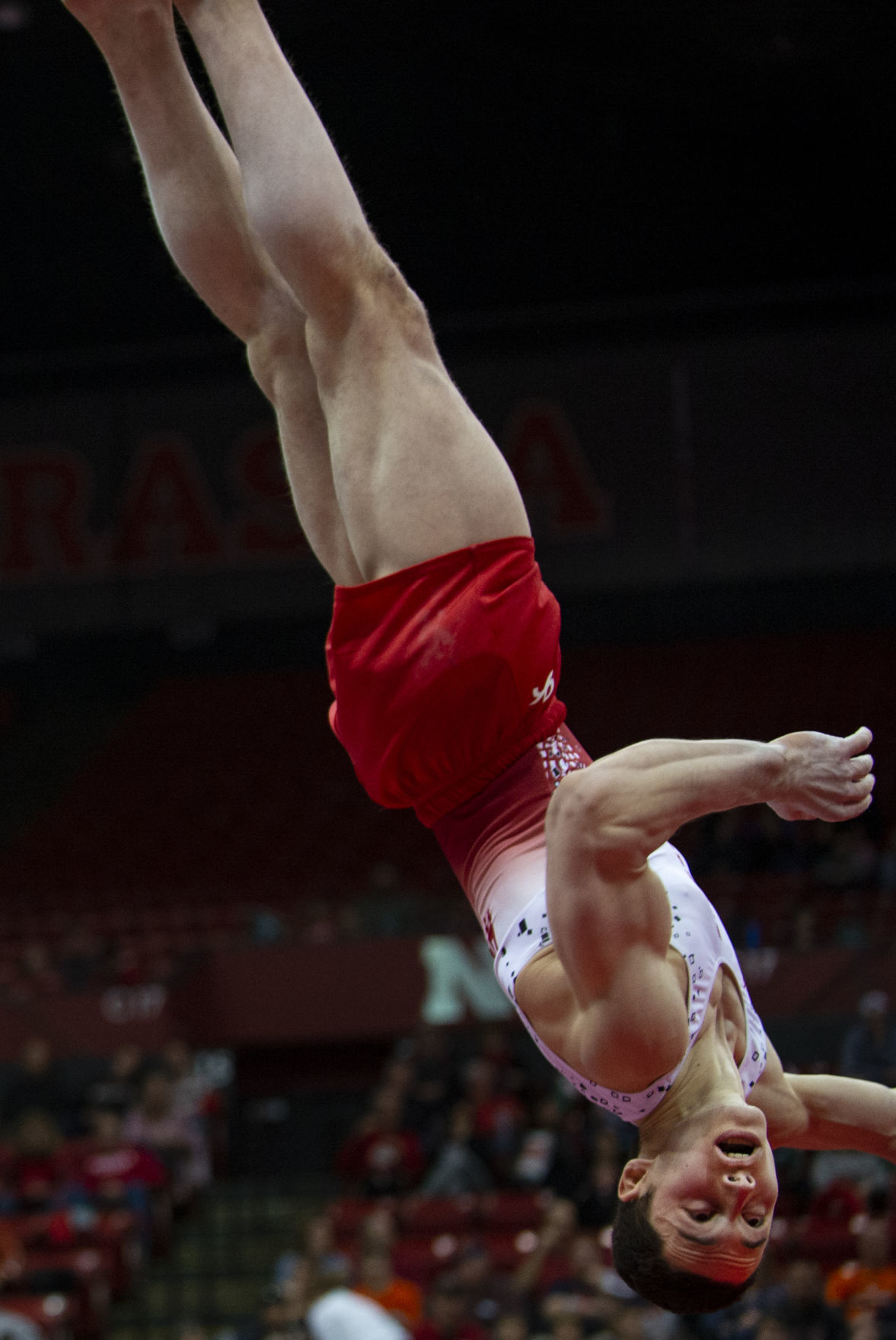 NU men's gymnastics vs. Illinois, Oklahoma, 2.2